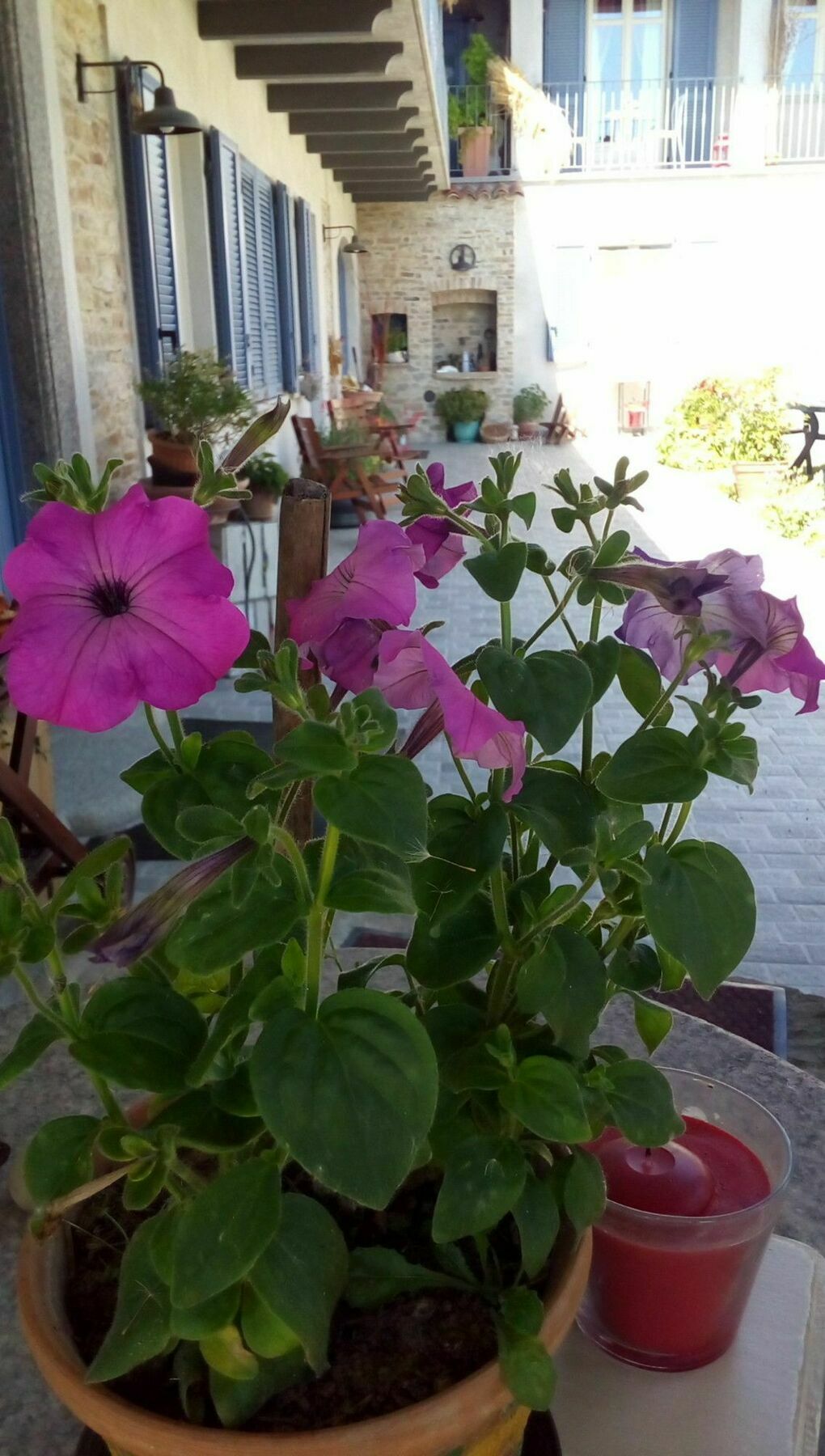 Cascina Giardini Alba (Piedmont)